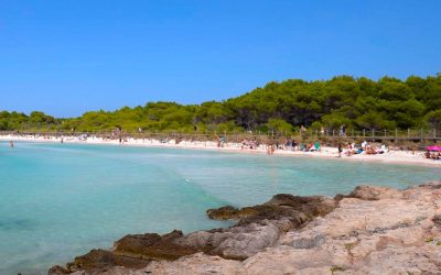 Cómo llegar a la playa de Son Saura