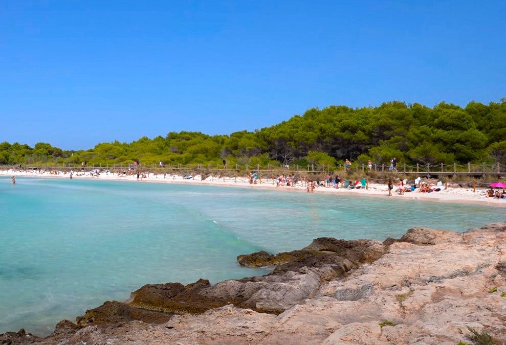 Cómo llegar a la playa de Son Saura