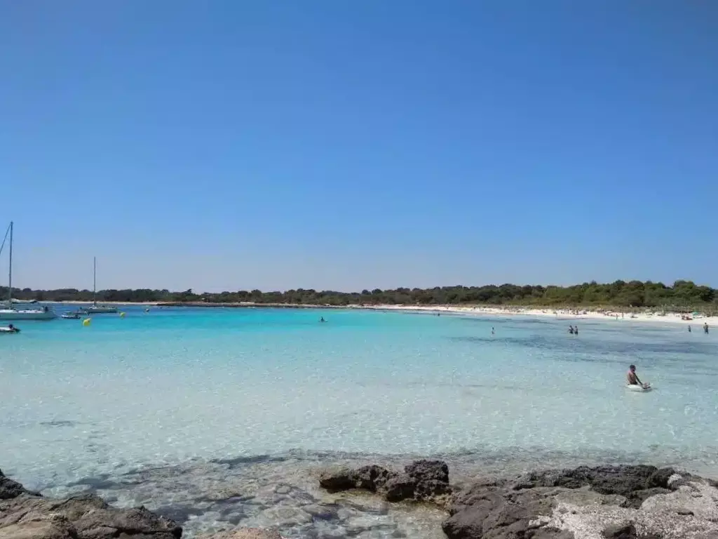 Cómo llegar a la playa de Son Saura