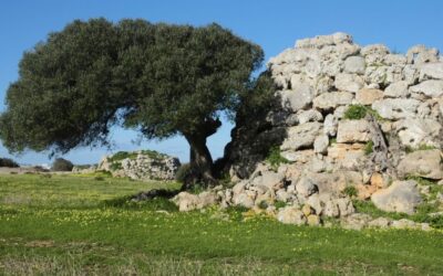 Protected: Which Car to Rent in Menorca: A Guide to Choosing the Right Vehicle for Your Trip