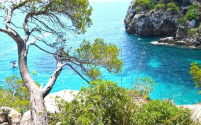 Protected: Car Rental at Menorca Airport: Why Picking Up Your Car Upon Arrival Is the Most Convenient Option